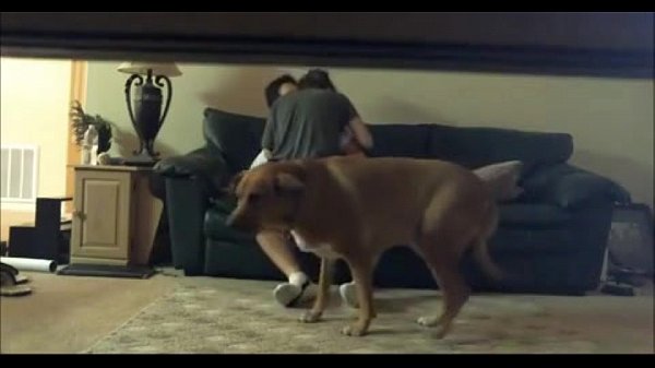 Hidden Cam Catches Son With The Neighbor – BadBootyCams.Com